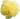 Pfingstrose Staude Goldilocks