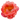 Pfingstrose Staude Coral Charm