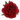 Pfingstrose Staude Red Charm
