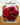 Schnittblumen peonly