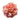 Triphena Parkin Pfingstrose