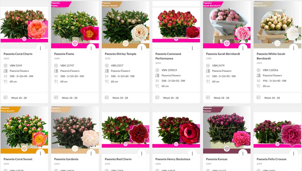 Screenshot des PEONLY-Shops auf Floriday